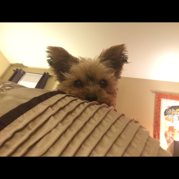 Meet your Posher, Katherine - Picture 4 of 8